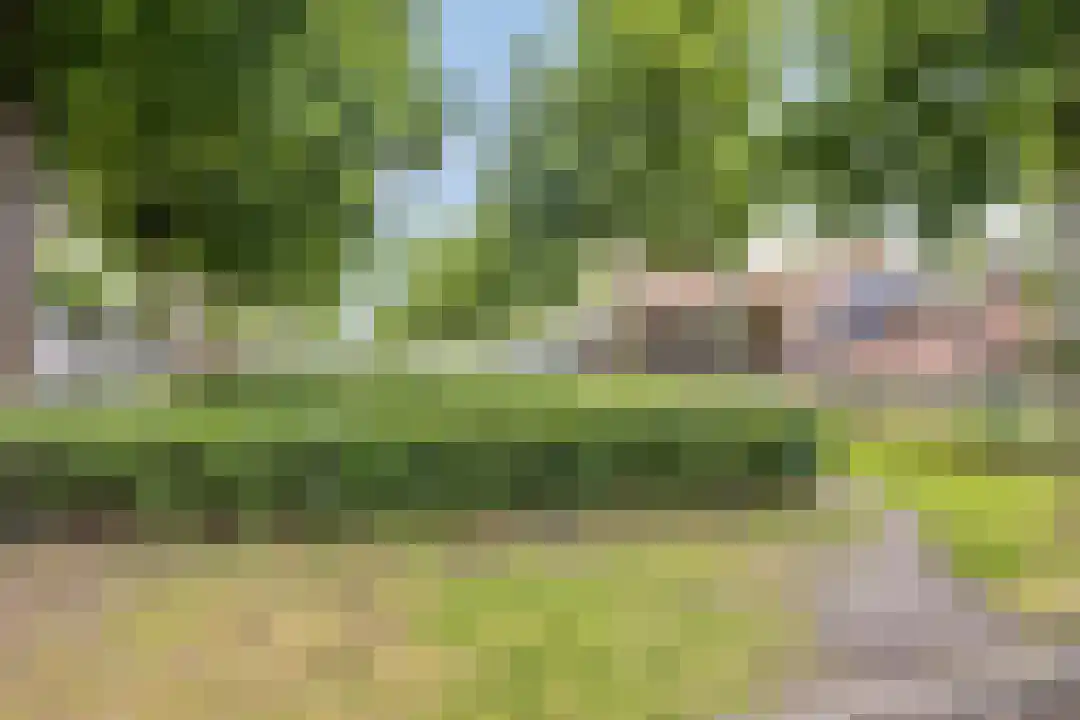 Telefoonweg 134 Ede thumbnail 24