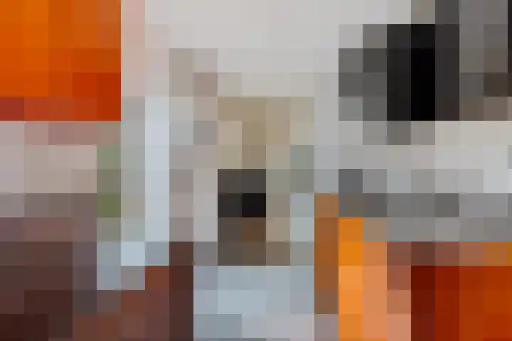 Telefoonweg 19 Musselkanaal thumbnail 11