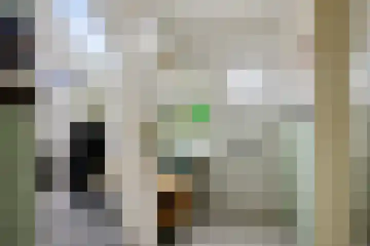 Telefoonweg 19 Musselkanaal thumbnail 19