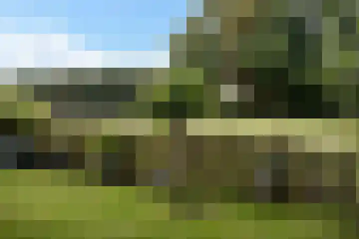 Telefoonweg 19 Musselkanaal thumbnail 38