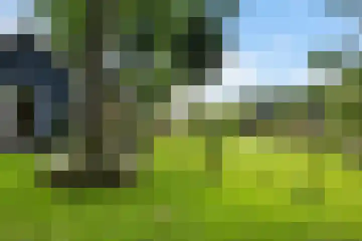 Telefoonweg 19 Musselkanaal thumbnail 39