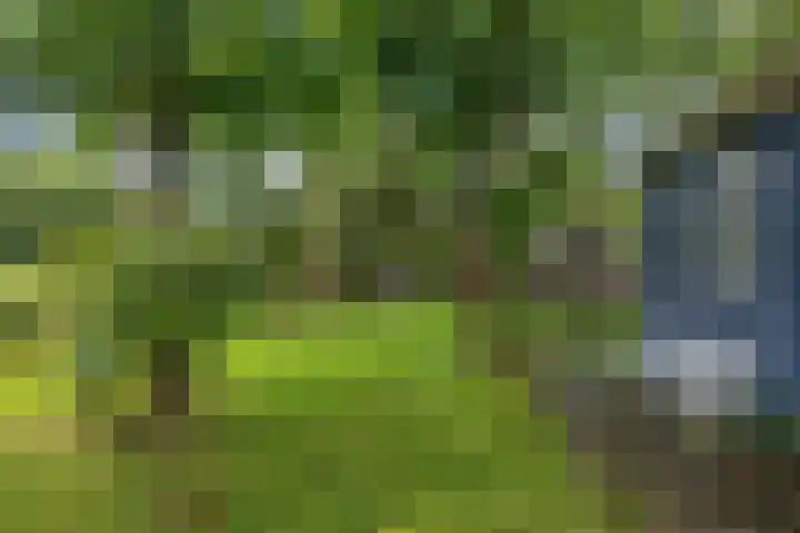 Telefoonweg 19 Musselkanaal thumbnail 40