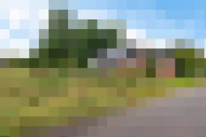Telefoonweg 19 Musselkanaal thumbnail 41