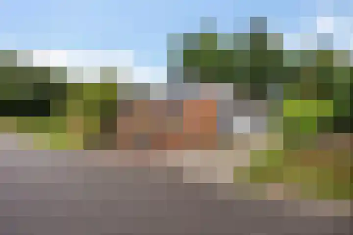 Telefoonweg 19 Musselkanaal thumbnail 43