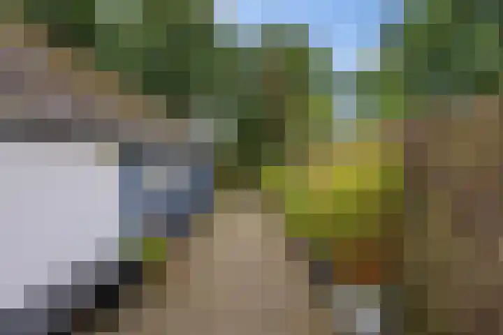 Telefoonweg 19 Musselkanaal thumbnail 44