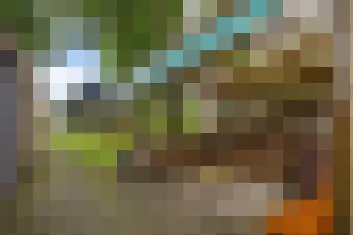 Telefoonweg 19 Musselkanaal thumbnail 45