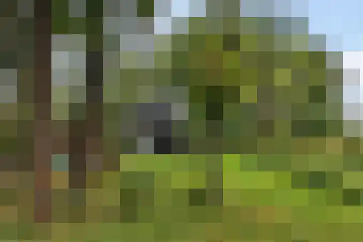 Telefoonweg 19 Musselkanaal thumbnail 46