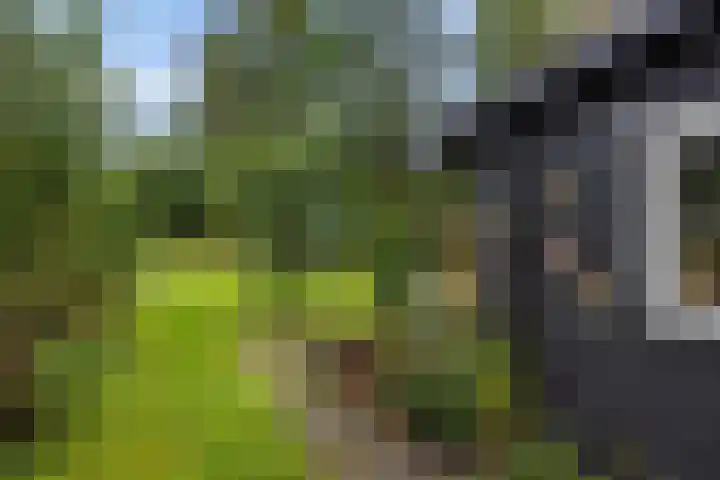 Telefoonweg 19 Musselkanaal thumbnail 47