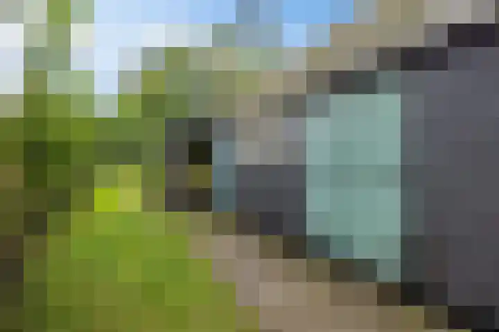 Telefoonweg 19 Musselkanaal thumbnail 48