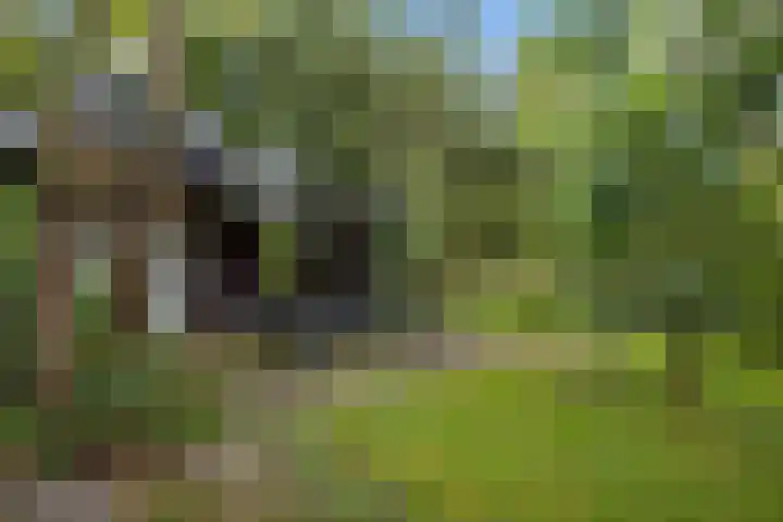 Telefoonweg 19 Musselkanaal thumbnail 49