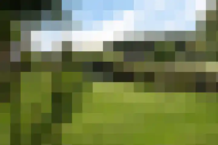 Telefoonweg 19 Musselkanaal thumbnail 5