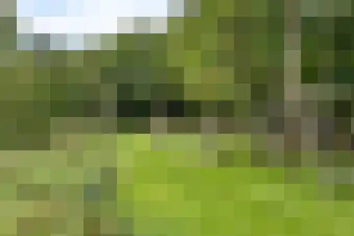 Telefoonweg 19 Musselkanaal thumbnail 50