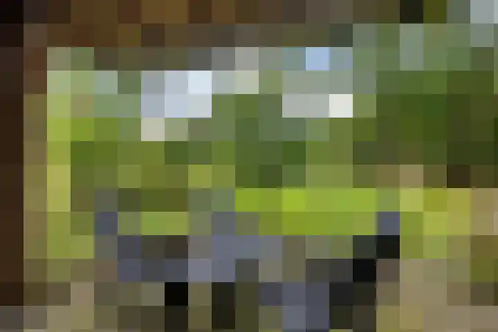 Telefoonweg 19 Musselkanaal thumbnail 51