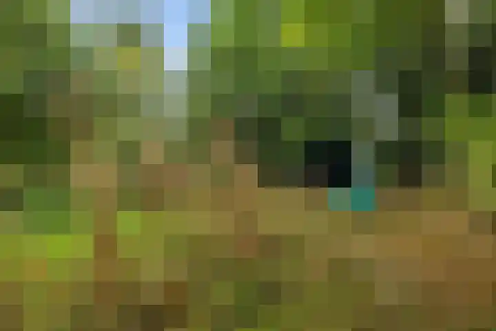 Telefoonweg 19 Musselkanaal thumbnail 52