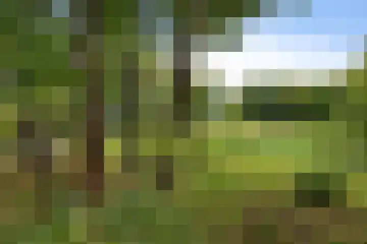 Telefoonweg 19 Musselkanaal thumbnail 53