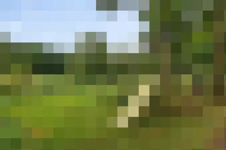 Telefoonweg 19 Musselkanaal thumbnail 54