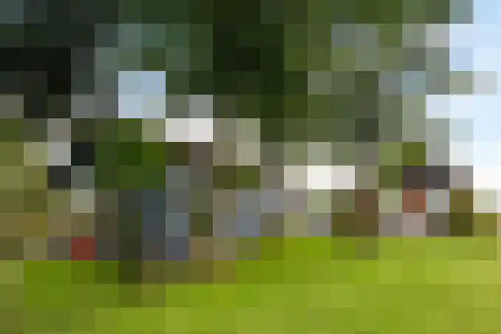 Telefoonweg 19 Musselkanaal thumbnail 6
