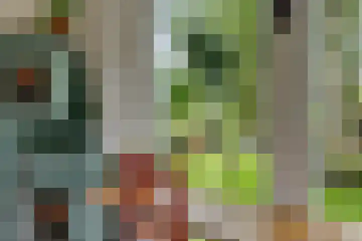Telefoonweg 19 Musselkanaal thumbnail 8