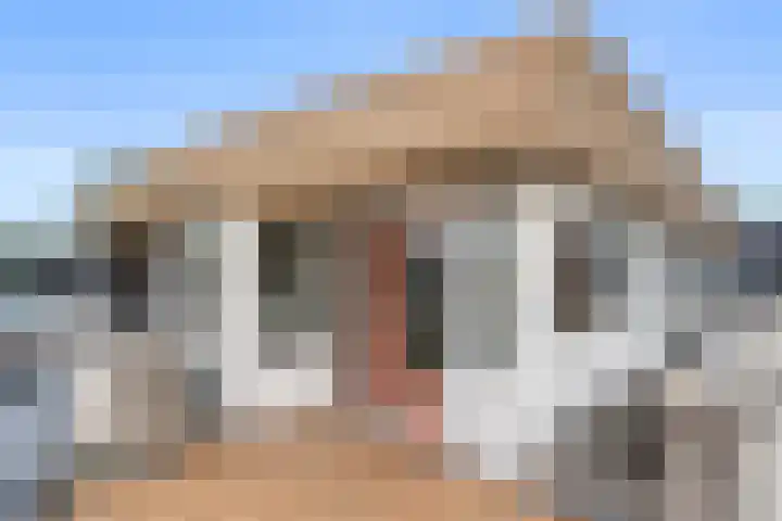 Telefoonweg 23 A Ede thumbnail 10