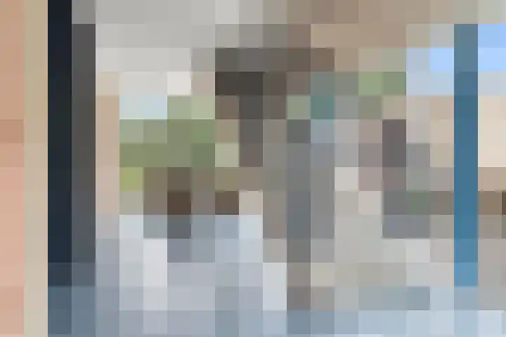 Telefoonweg 23 A Ede thumbnail 26