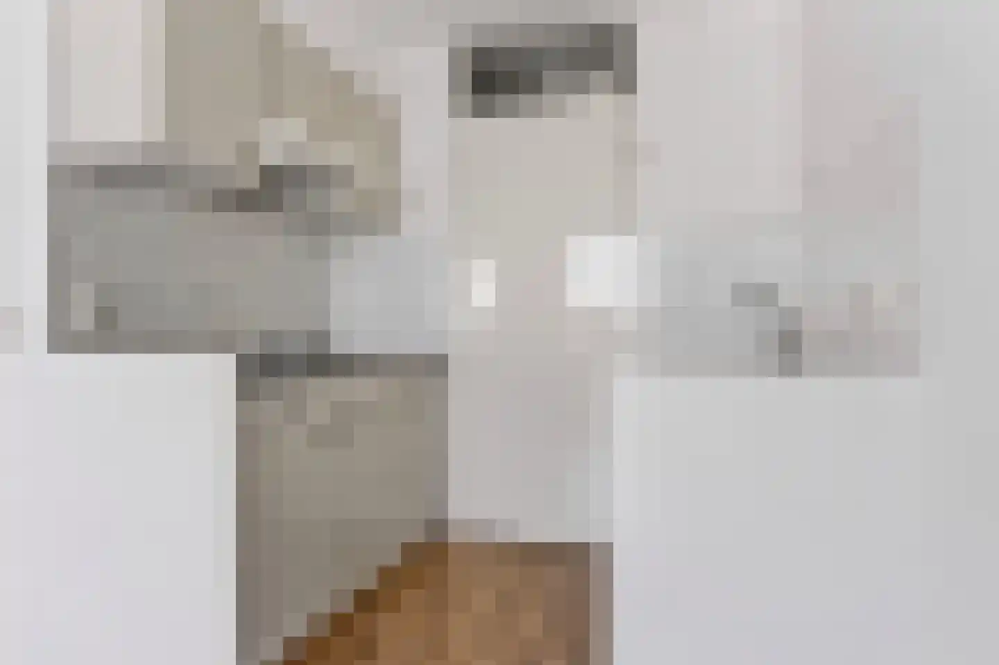 Telefoonweg 62 10 Ede thumbnail 4