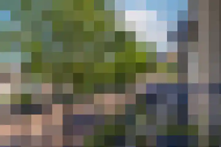 Telefoonweg 66 4 Ede thumbnail 16