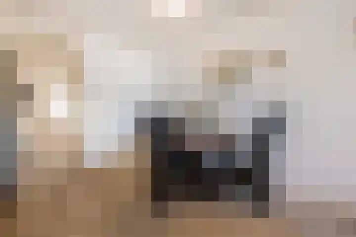 Telefoonweg 66 4 Ede thumbnail 18