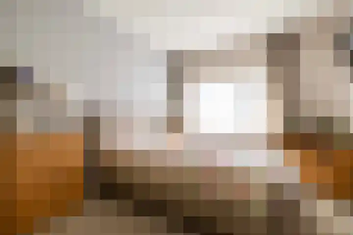 Telefoonweg 66 4 Ede thumbnail 23