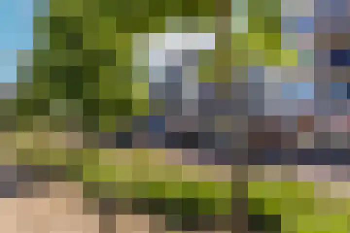 Telefoonweg 66 4 Ede thumbnail 32