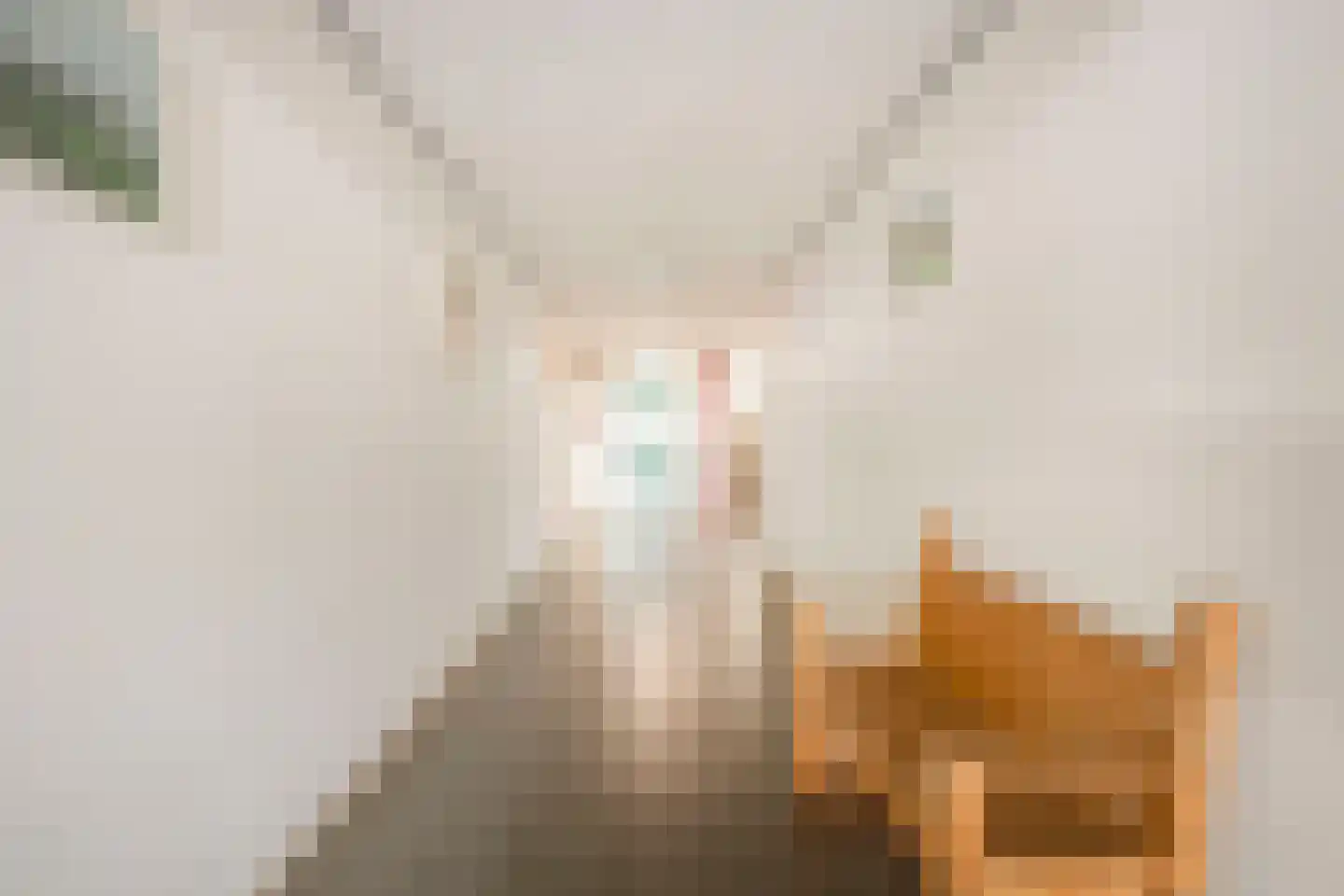 Telefoonweg 66 8 Ede thumbnail 34