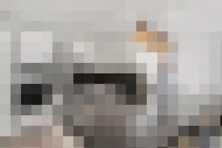 Telefoonweg 70 B Ede thumbnail 14