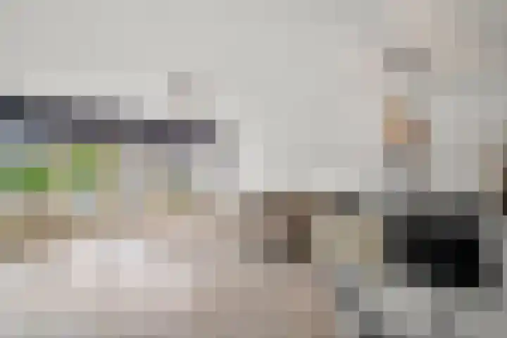 Telefoonweg 70 B Ede thumbnail 9