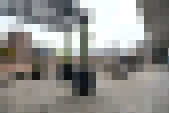 Telefoonweg 78 6 Ede thumbnail 15