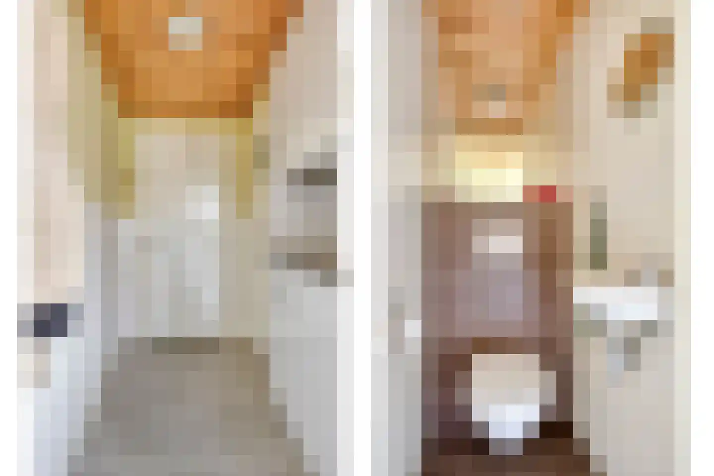 Telegraafstraat 12 Tilburg thumbnail 18