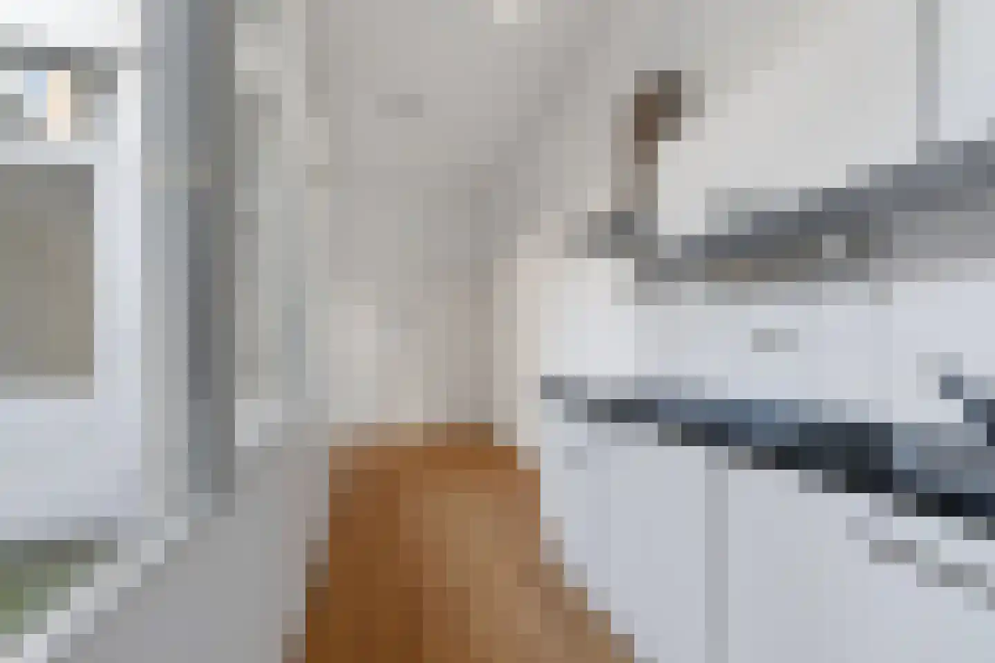 Telegraafstraat 27 02 Tilburg thumbnail 8