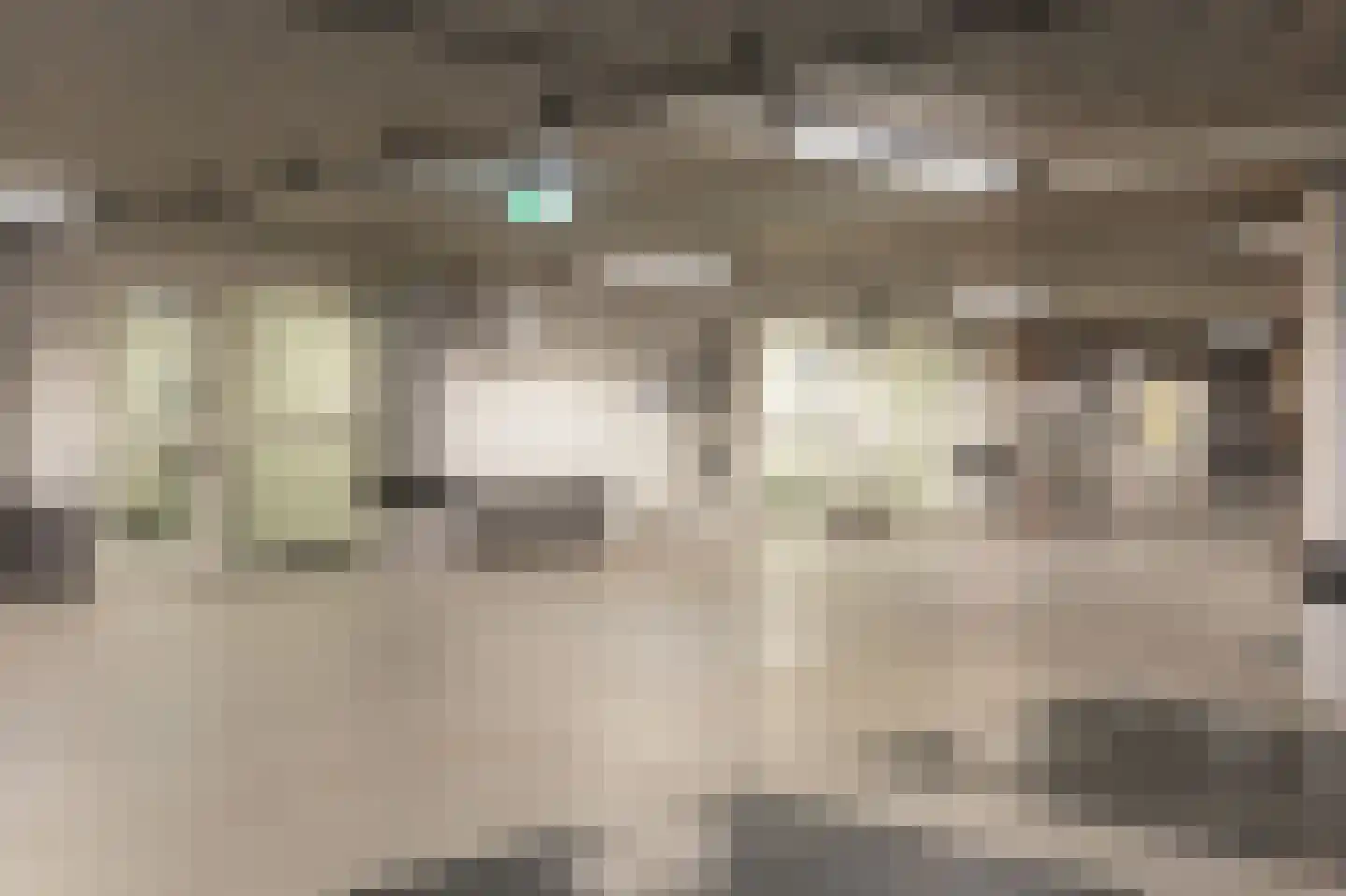 Telegraafstraat 38 Tilburg thumbnail 36