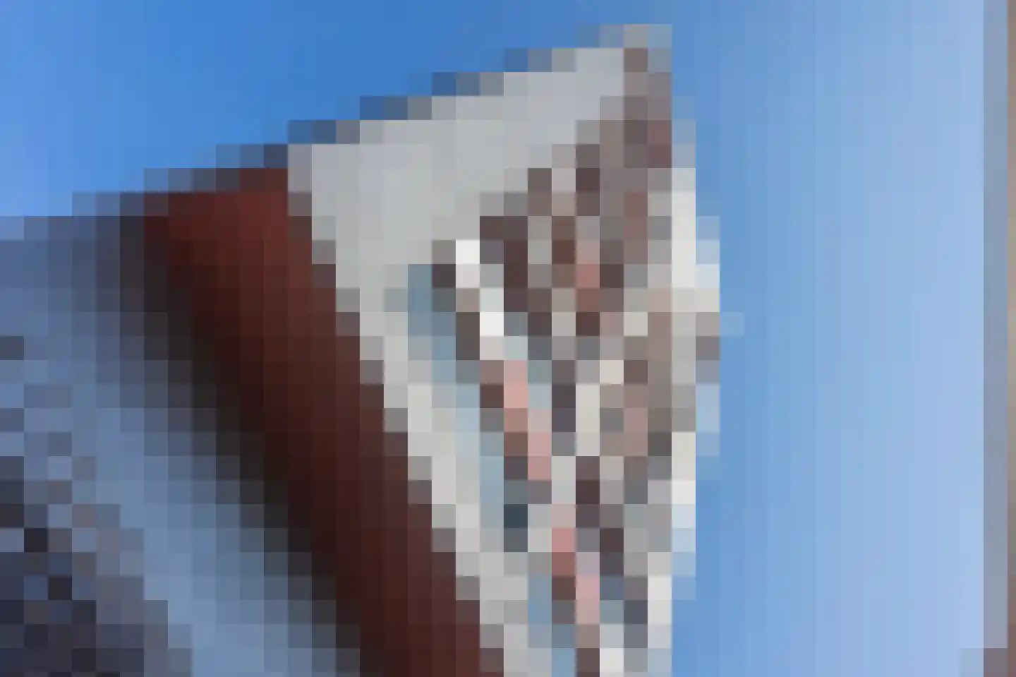 Telegraafstraat 38 Tilburg thumbnail 42