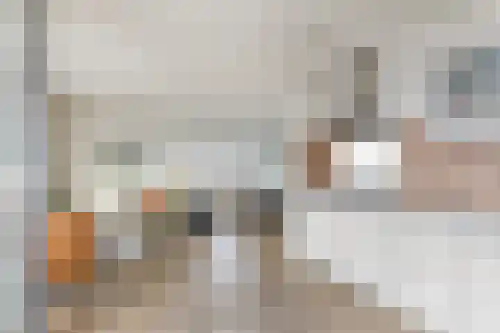 Telegraafstraat 40 Tilburg thumbnail 5