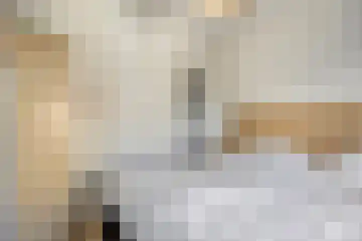Telegraafstraat 6 Tilburg thumbnail 12