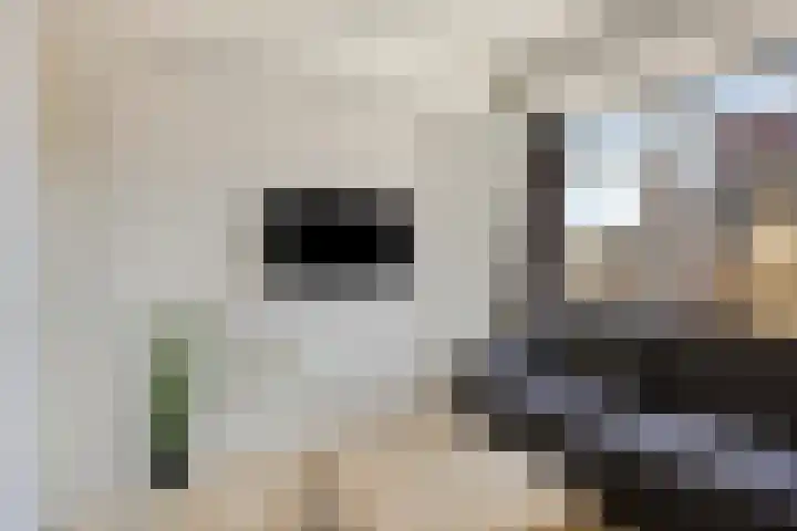 Telegraafstraat 6 Tilburg thumbnail 9