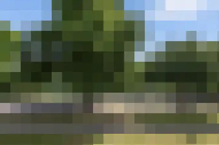 Telemannhof 40 Amersfoort thumbnail 27
