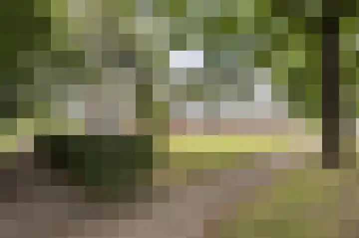 Telemannhof 58 Amersfoort thumbnail 31