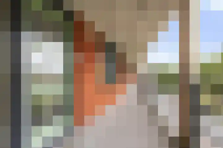 Telemannhof 58 Amersfoort thumbnail 4