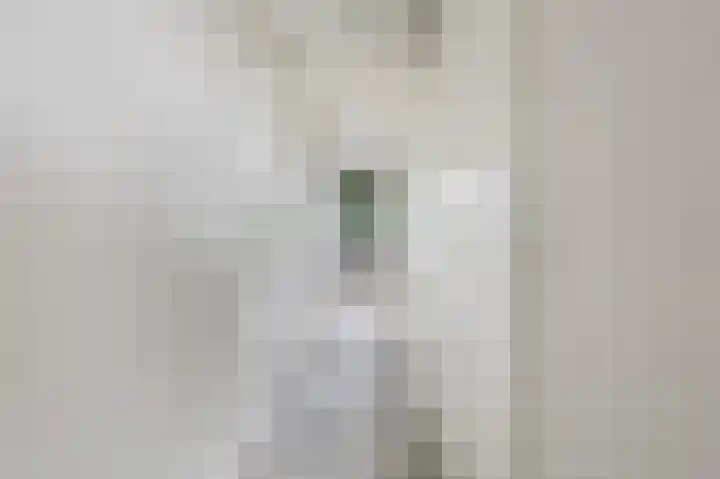 Telemannhof 58 Amersfoort thumbnail 9