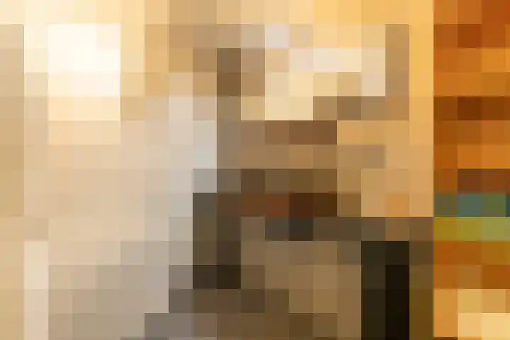 Telemannhof 61 Amersfoort thumbnail 25