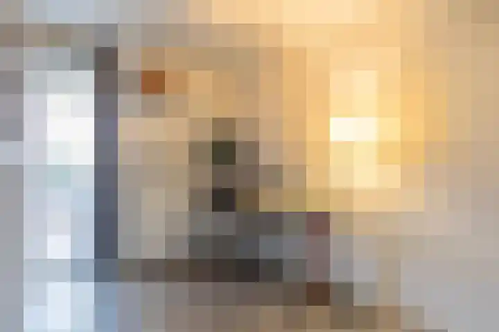 Telemannhof 61 Amersfoort thumbnail 28