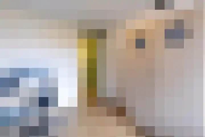 Telemannhof 61 Amersfoort thumbnail 31