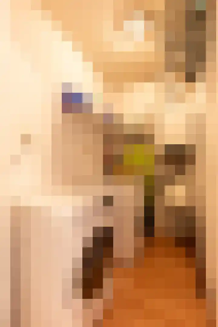 Telemannhof 61 Amersfoort thumbnail 32