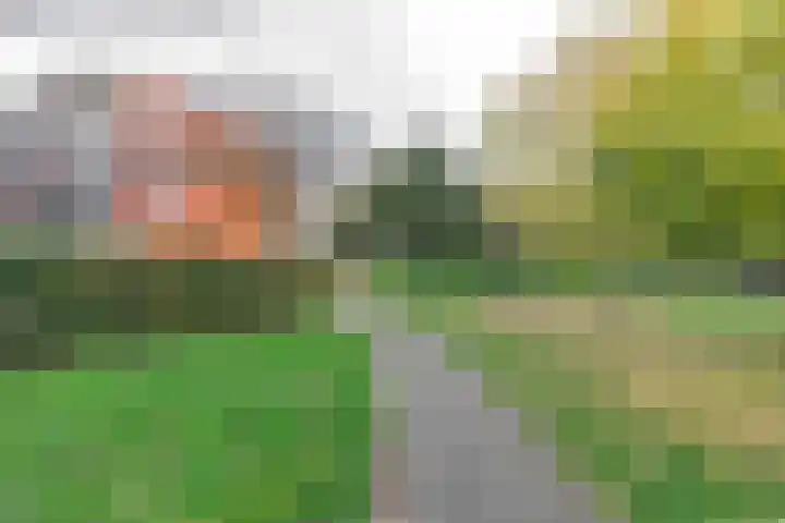 Telemannhof 61 Amersfoort thumbnail 35
