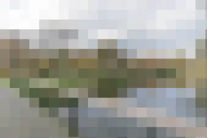 Telemannhof 61 Amersfoort thumbnail 38